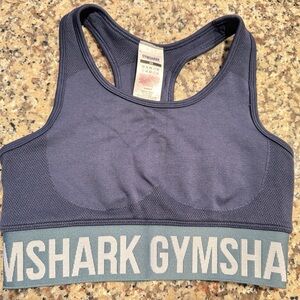 Gymshark Navy Sports Bra with Teal Band
